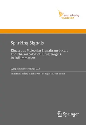 Baier / Schraven / Zügel |  Sparking Signals | Buch |  Sack Fachmedien