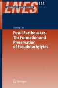 Lin |  Fossil Earthquakes: The Formation and Preservation of Pseudotachylytes | Buch |  Sack Fachmedien