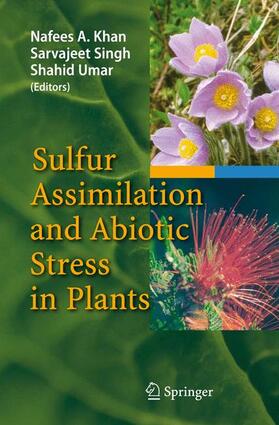 Khan / Umar / Singh | Sulfur Assimilation and Abiotic Stress in Plants | Buch | 978-3-642-09518-4 | sack.de