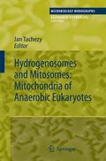Tachezy |  Hydrogenosomes and Mitosomes: Mitochondria of Anaerobic Eukaryotes | Buch |  Sack Fachmedien