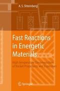Shteinberg |  Fast Reactions in Energetic Materials | Buch |  Sack Fachmedien