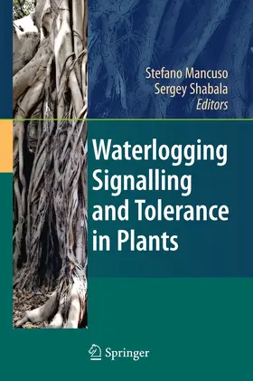 Mancuso / Shabala | Waterlogging Signalling and Tolerance in Plants | Buch | 978-3-642-10304-9 | www.sack.de