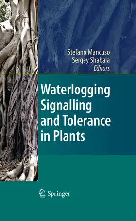 Mancuso / Shabala | Waterlogging Signalling and Tolerance in Plants | E-Book | www.sack.de