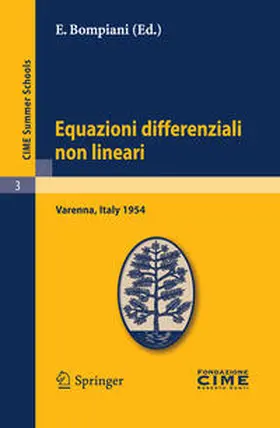 Bompiani |  Equazioni differenziali non lineari | Buch |  Sack Fachmedien