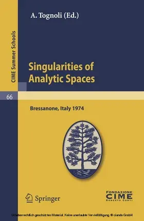 Tognoli | Singularities of Analytic Spaces | E-Book | sack.de
