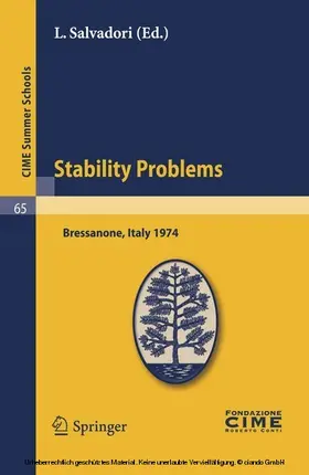 Salvadori | Stability Problems | E-Book | www.sack.de