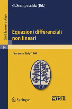 Stampacchia |  Equazioni differenziali non lineari | Buch |  Sack Fachmedien