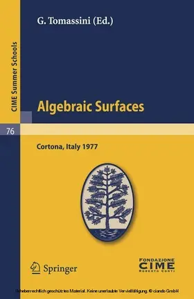 Tomassini | Algebraic Surfaces | E-Book | www.sack.de