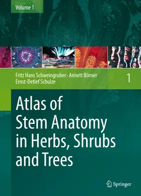 Schweingruber / Börner / Schulze | Atlas of Stem Anatomy in Herbs, Shrubs and Trees | E-Book | www.sack.de