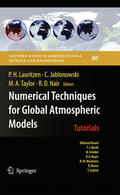 Lauritzen / Jablonowski / Taylor |  Numerical Techniques for Global Atmospheric Models | eBook | Sack Fachmedien