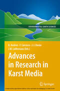 Carrasco / Andreo / Durán Valsero |  Advances in Research in Karst Media | eBook | Sack Fachmedien