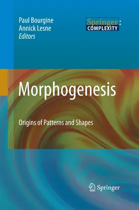 Bourgine / LESNE | Morphogenesis | Buch | 978-3-642-13173-8 | www.sack.de