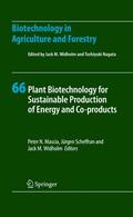 Mascia / Widholm / Scheffran |  Plant Biotechnology for Sustainable Production of Energy and Co-products | Buch |  Sack Fachmedien