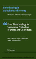 Mascia / Scheffran / Widholm |  Plant Biotechnology for Sustainable Production of Energy and Co-products | eBook | Sack Fachmedien