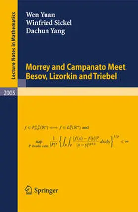 Yuan / Sickel / Yang |  Morrey and Campanato Meet Besov, Lizorkin and Triebel | eBook | Sack Fachmedien