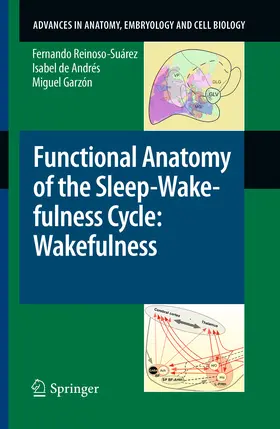 Reinoso-Suárez / de Andrés / Garzón | Functional Anatomy of the Sleep-Wakefulness Cycle: Wakefulness | E-Book | sack.de