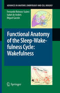 Reinoso-Suárez / de Andrés / Garzón |  Functional Anatomy of the Sleep-Wakefulness Cycle: Wakefulness | eBook | Sack Fachmedien