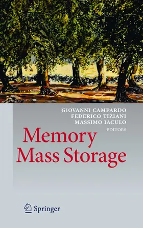 Campardo / Tiziani / Iaculo |  Memory Mass Storage | eBook | Sack Fachmedien