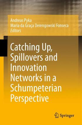 Derengowski Fonseca / Pyka | Catching Up, Spillovers and Innovation Networks in a Schumpeterian Perspective | Buch | sack.de