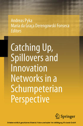 Pyka / Derengowski Fonseca | Catching Up, Spillovers and Innovation Networks in a Schumpeterian Perspective | E-Book | sack.de