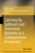 Pyka / Derengowski Fonseca |  Catching Up, Spillovers and Innovation Networks in a Schumpeterian Perspective | eBook | Sack Fachmedien