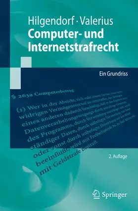 Hilgendorf / Valerius | Computer- und Internetstrafrecht | Buch | 978-3-642-16884-0 | sack.de