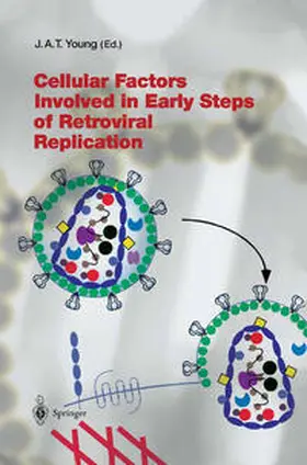 Young | Cellular Factors Involved in Early Steps of Retroviral Replication | E-Book | www.sack.de