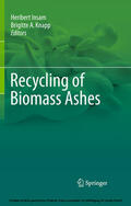 Insam / Knapp |  Recycling of Biomass Ashes | eBook | Sack Fachmedien