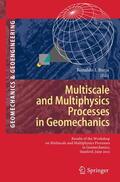 Borja |  Multiscale and Multiphysics Processes in Geomechanics | Buch |  Sack Fachmedien