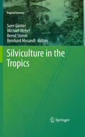 Günter / Weber / Stimm |  Silviculture in the Tropics | eBook | Sack Fachmedien
