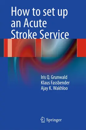 Grunwald / Fassbender / Wakhloo | How to set up an Acute Stroke Service | Buch | 978-3-642-21404-2 | www.sack.de