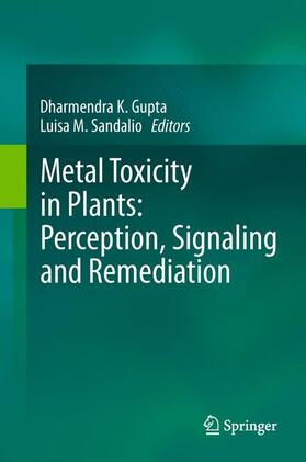 Sandalio / Gupta | Metal Toxicity in Plants: Perception, Signaling and Remediation | Buch | 978-3-642-22080-7 | sack.de