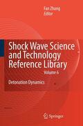 Zhang |  Shock Waves Science and Technology Library, Vol. 6 | eBook | Sack Fachmedien