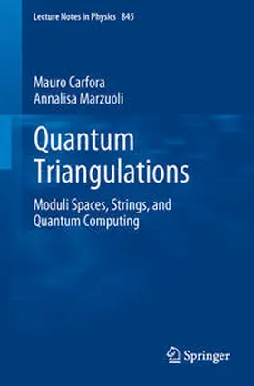 Carfora / Marzuoli |  Quantum Triangulations | eBook | Sack Fachmedien