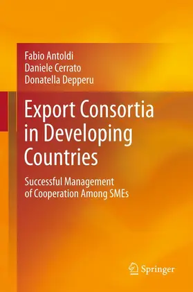 Antoldi / Depperu / Cerrato |  Export Consortia in Developing Countries | Buch |  Sack Fachmedien