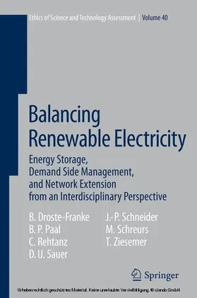 Droste-Franke / Paal / Rehtanz |  Balancing Renewable Electricity | eBook | Sack Fachmedien