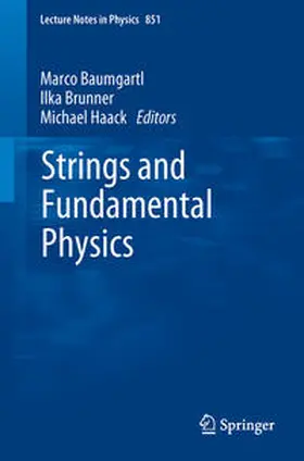 Baumgartl / Brunner / Haack | Strings and Fundamental Physics | E-Book | sack.de