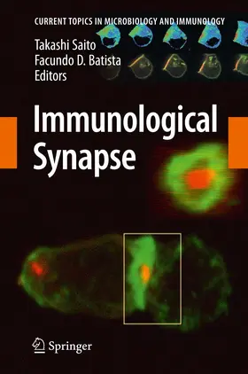 Batista / Saito | Immunological Synapse | Buch | 978-3-642-26185-5 | www.sack.de