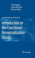 Kopietz / Schütz / Bartosch |  Introduction to the Functional Renormalization Group | Buch |  Sack Fachmedien
