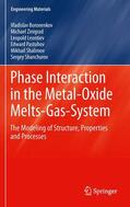 Boronenkov / Zinigrad / Shanchurov |  Phase Interaction in the Metal - Oxide Melts - Gas -System | Buch |  Sack Fachmedien