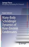 Sakmann |  Many-Body Schrödinger Dynamics of Bose-Einstein Condensates | Buch |  Sack Fachmedien