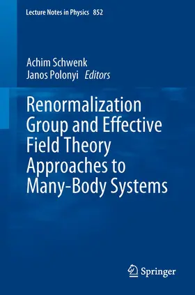 Schwenk / Polonyi |  Renormalization Group and Effective Field Theory Approaches to Many-Body Systems | Buch |  Sack Fachmedien