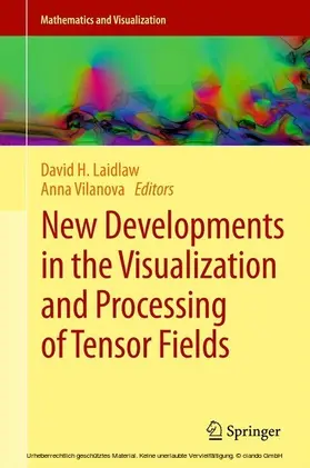 Laidlaw / Vilanova | New Developments in the Visualization and Processing of Tensor Fields | E-Book | www.sack.de