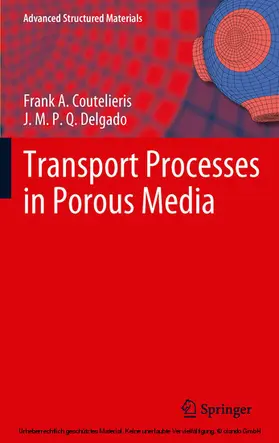 Coutelieris / Delgado |  Transport Processes in Porous Media | eBook | Sack Fachmedien