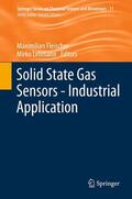 Fleischer / Lehmann |  Solid State Gas Sensors - Industrial Application | eBook | Sack Fachmedien