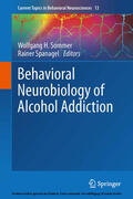 Sommer / Spanagel |  Behavioral Neurobiology of Alcohol Addiction | eBook | Sack Fachmedien