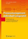 Kern |  Prozessmanagement individuell umgesetzt | Buch |  Sack Fachmedien