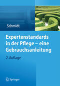 Schmidt |  Expertenstandards in der Pflege - eine Gebrauchsanleitung | eBook | Sack Fachmedien