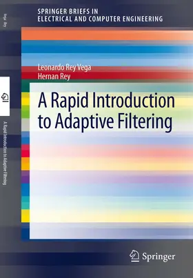 Vega / Rey | A Rapid Introduction to Adaptive Filtering | E-Book | www.sack.de