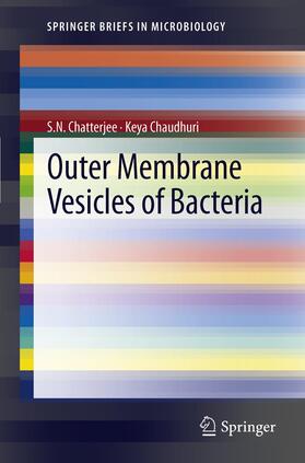 Chaudhuri / Chatterjee | Outer Membrane Vesicles of Bacteria | Buch | 978-3-642-30525-2 | sack.de